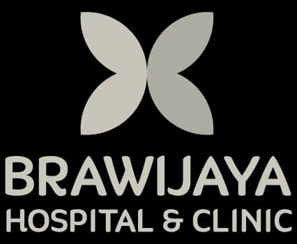 Brawijaya Hospital