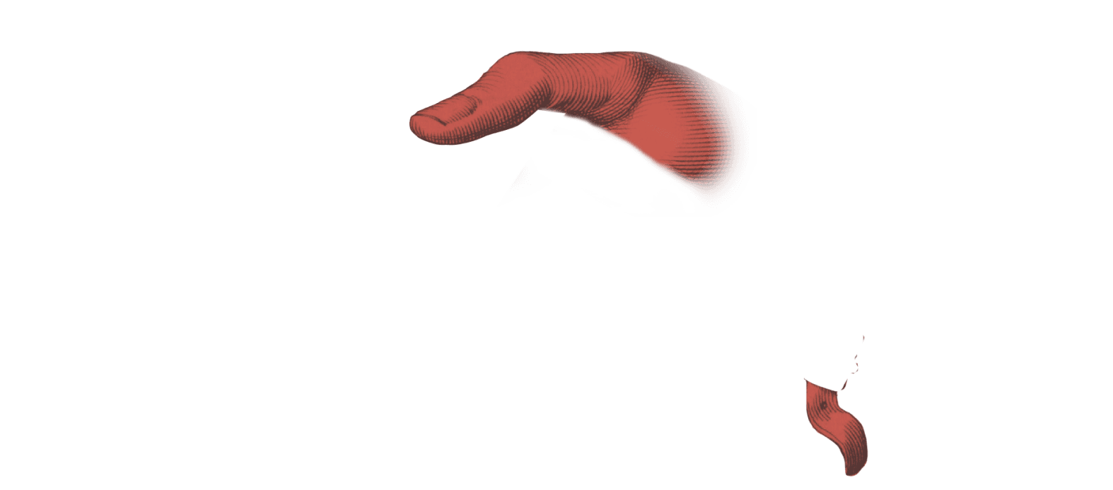 Decorative right hand top